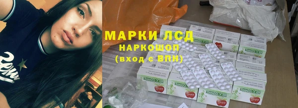 винт Аркадак