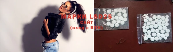 винт Аркадак